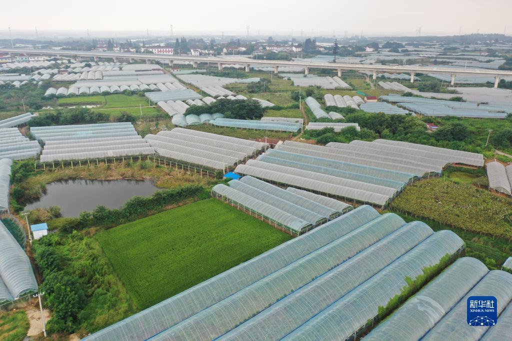 奔驰宝马电玩城下载