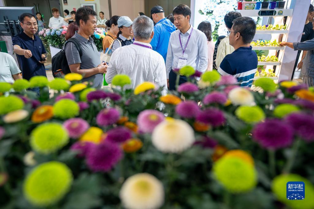 捕鱼游戏电脑版下载开心捕鱼pc版